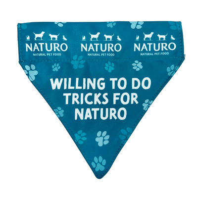 Teal pet bandana with 'Naturo' branding and text on a light blue background