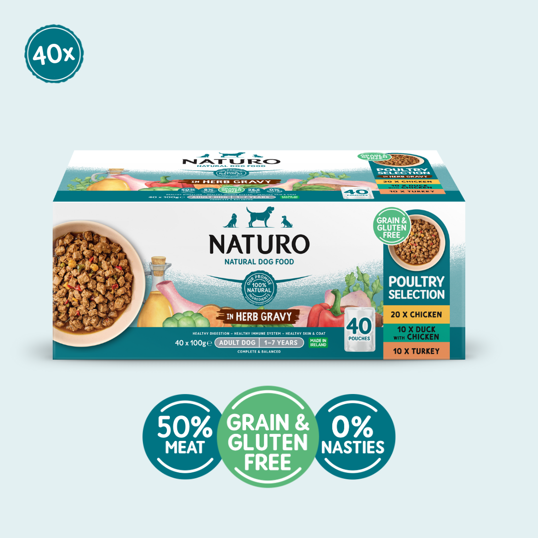 Box of Naturo natural dog food with ingredients and benefits displayed on a light blue background