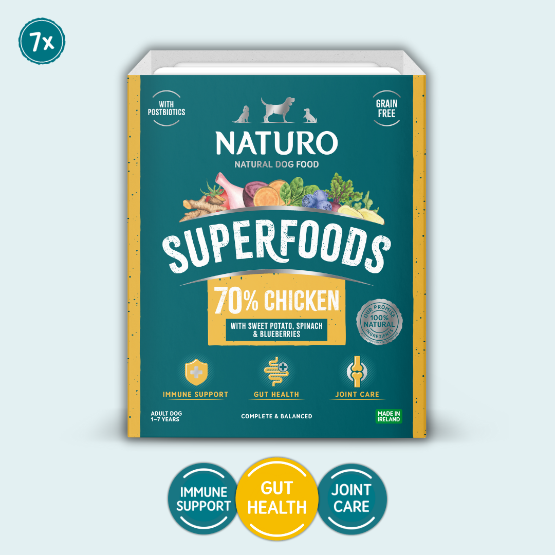 Naturo Superfoods natural dog food tray pack on a light blue background