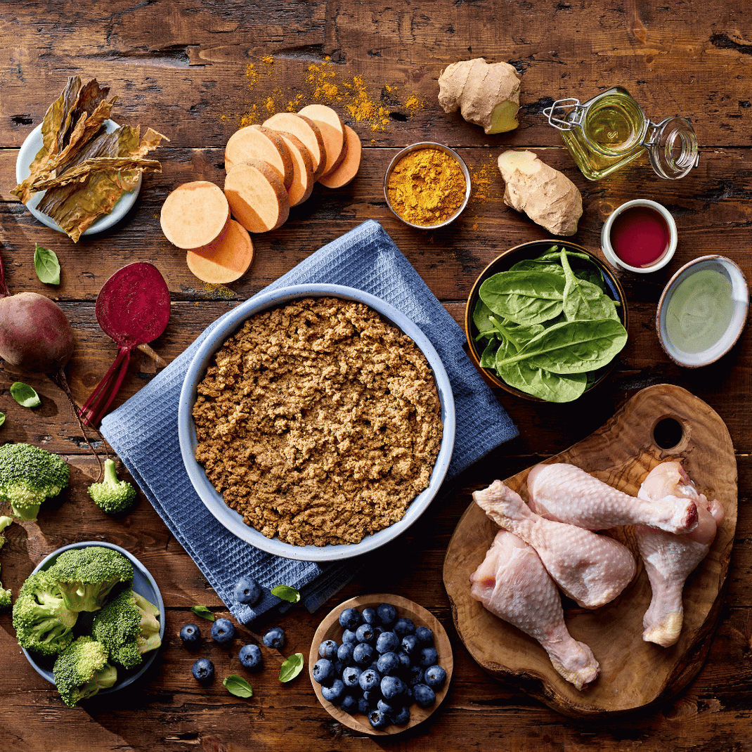 Assorted ingredients including a bowl of dog food, vegetables, and chicken on a wooden surface.