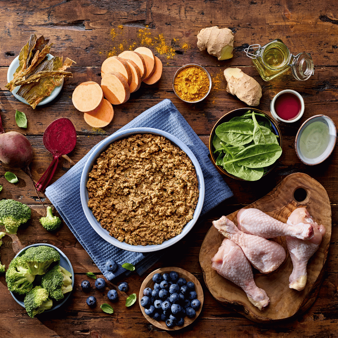 Assorted ingredients including a bowl of dog food, vegetables, and chicken on a wooden surface.