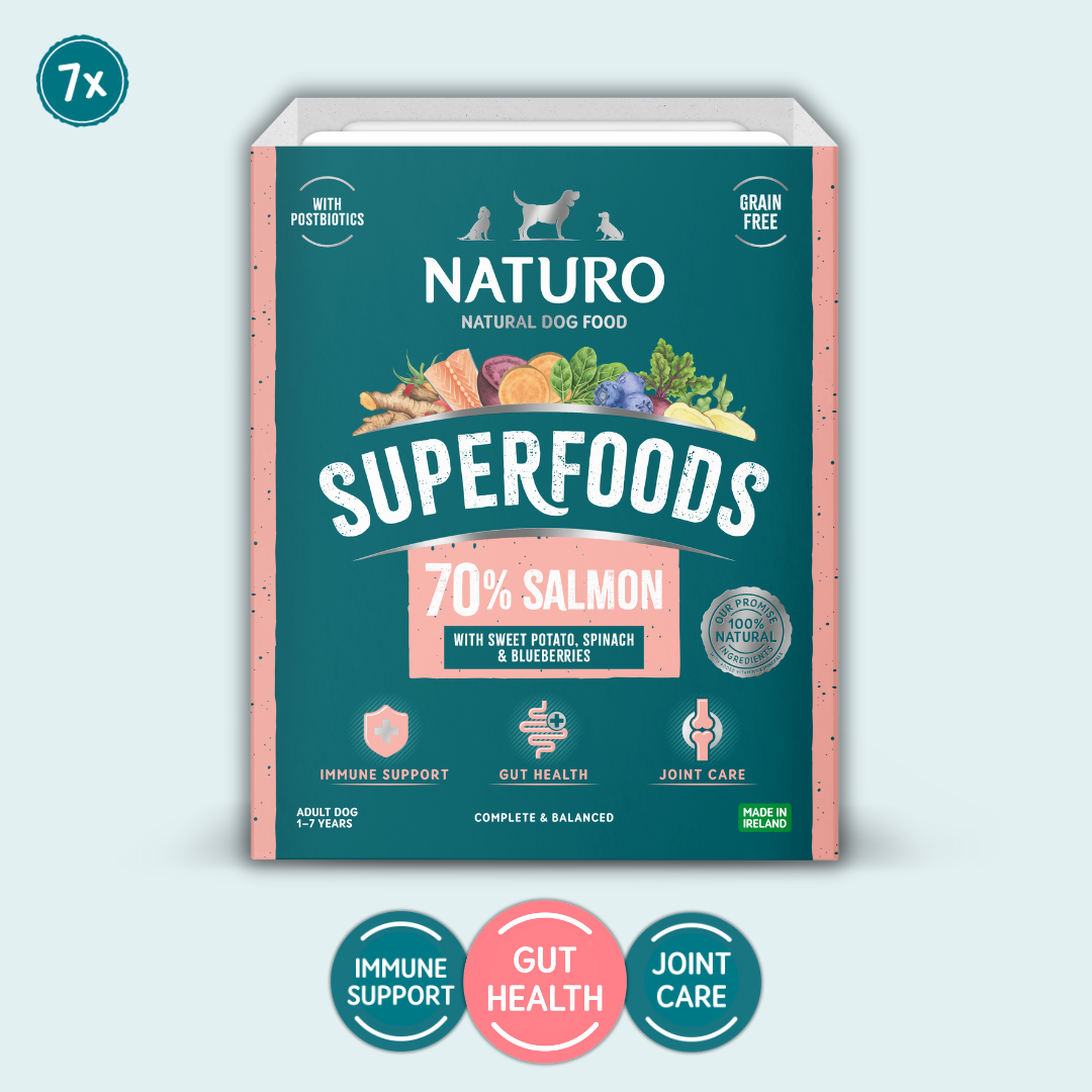 Naturo natural dog food tray pack with superfoods label on a light blue background