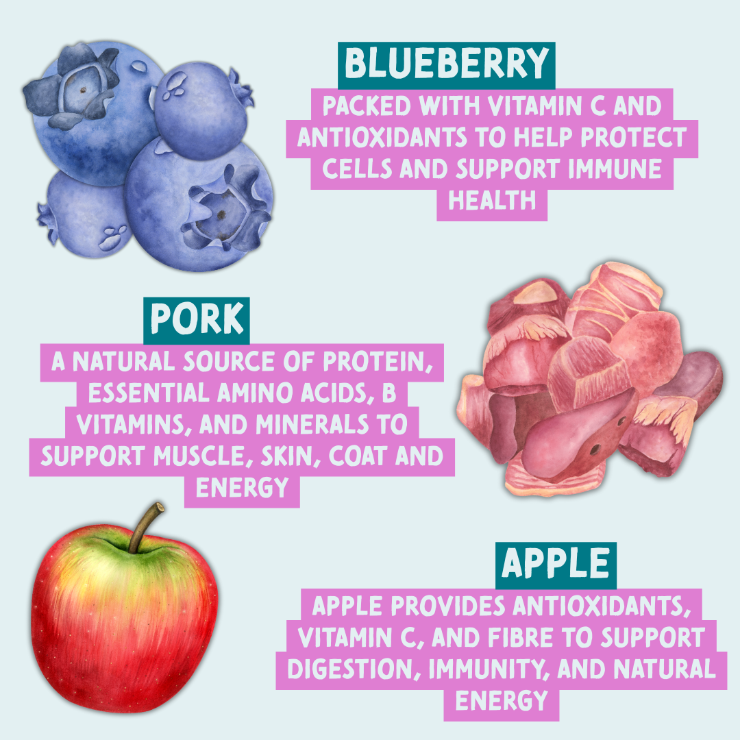 Illustration of blueberries, pork, and an apple with health benefits text on a light purple background.