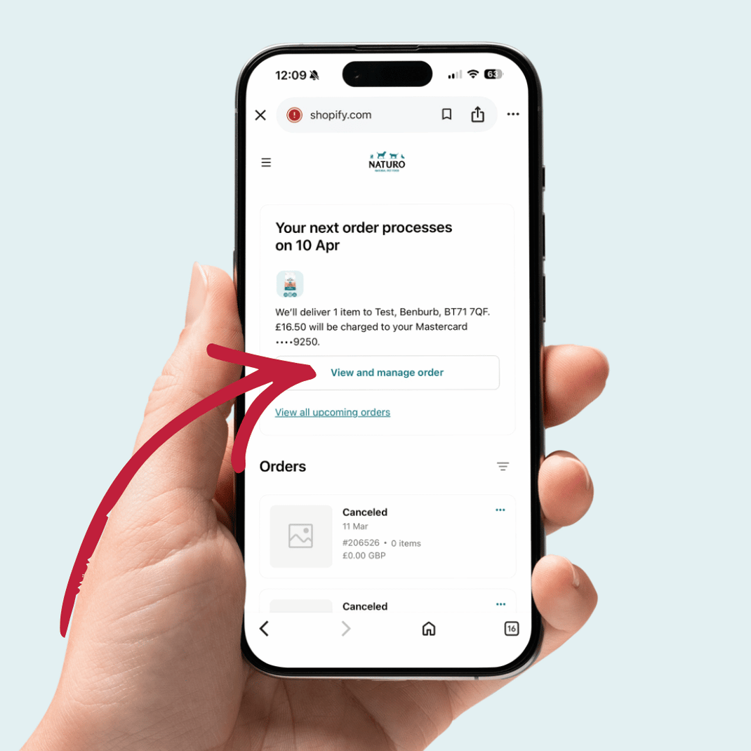 Hand holding a smartphone displaying a Shopify order confirmation screen on a light blue background