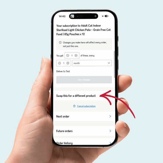 Hand holding a smartphone displaying a subscription app interface on a light blue background