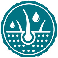 Teal icon roundel with a white illustration of skin and hair follicles