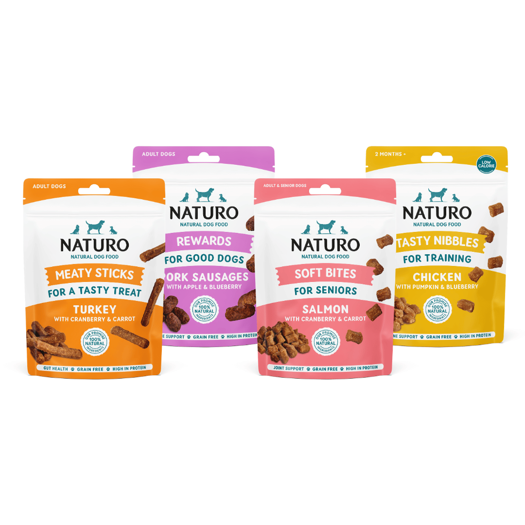 The Treat Taster Bundle